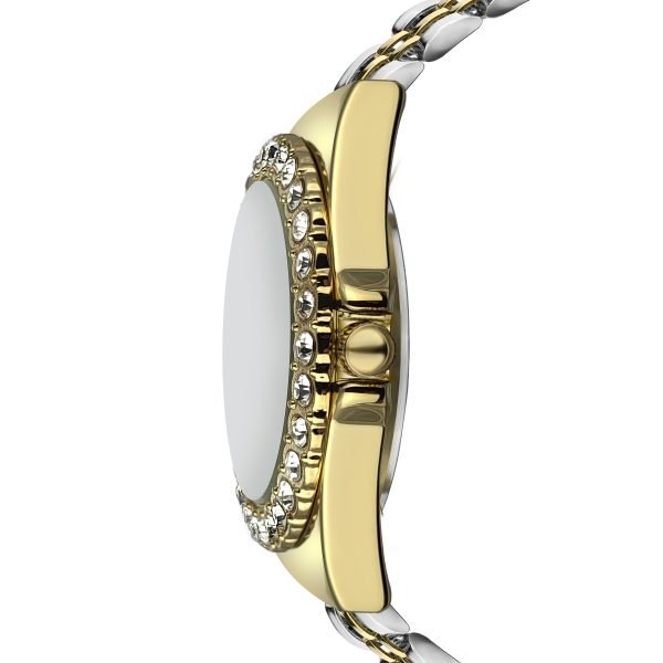 Classic Gold&Silver Link