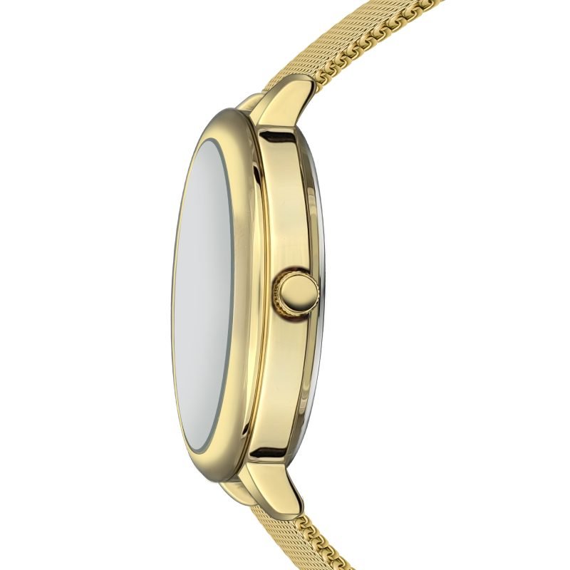 Chic  Gold Mesh - Image 4